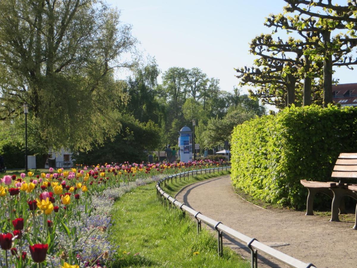 Ferienwohnungen "Marie" Mit Terrassen, Inclusive Park- Und Stellplaetze Am Haus, Mueritz-Strand Nur 700M, Altstadt 10Min, Ruhige Lage, Waren  Exteriér fotografie
